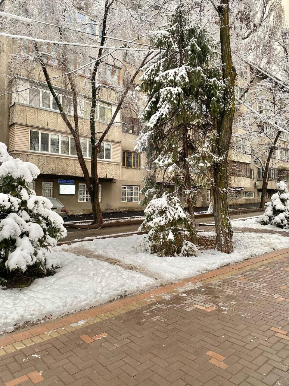 Alma-Ata Hostel Екстер'єр фото