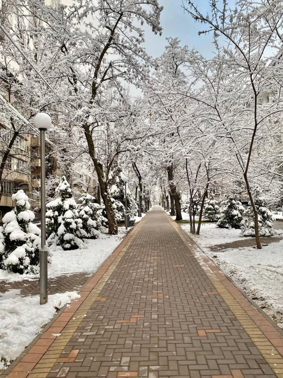 Alma-Ata Hostel Екстер'єр фото